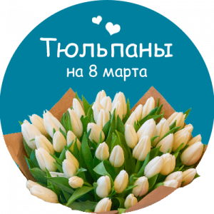 Купить тюльпаны в Краснокамске